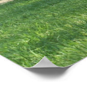 Poster John Oliver Black Bear Cabine (Coin)