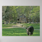 Poster John Oliver Black Bear Cabine (Devant)