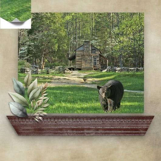 Poster John Oliver Black Bear Cabine