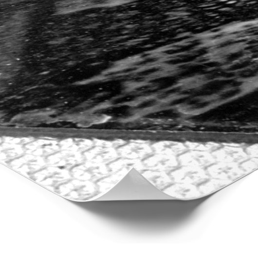 Poster John Quincy Adams (Coin)