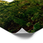 Poster John Quincy Adams. Si vous agissez, inspirez les a (Coin)