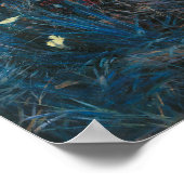 Poster John Singer Sargent Carnation Lily Lily Rose (Coin)