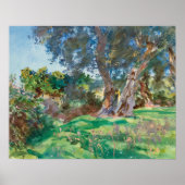 Poster John Singer Sargent - Olive Trees, Corfou (Devant)