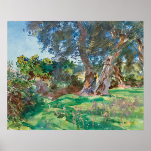 Poster John Singer Sargent - Olive Trees, Corfou