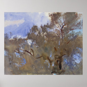 Poster John Singer Sargent - Treetops contre Sky