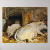 Poster John Singer Sargent - Trois Oxen (Devant)