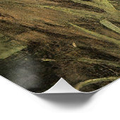 Poster John William Waterhouse (Coin)