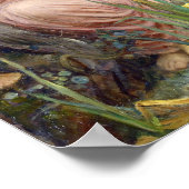 Poster John William Waterhouse Echo et Narcissus (Coin)