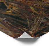 Poster John William Waterhouse - The Lady of Shalott, (Coin)