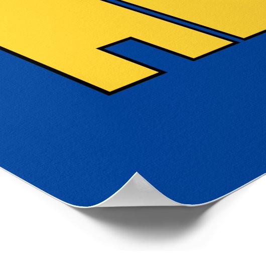 Poster Johnny Bravo - Hunk (Coin)