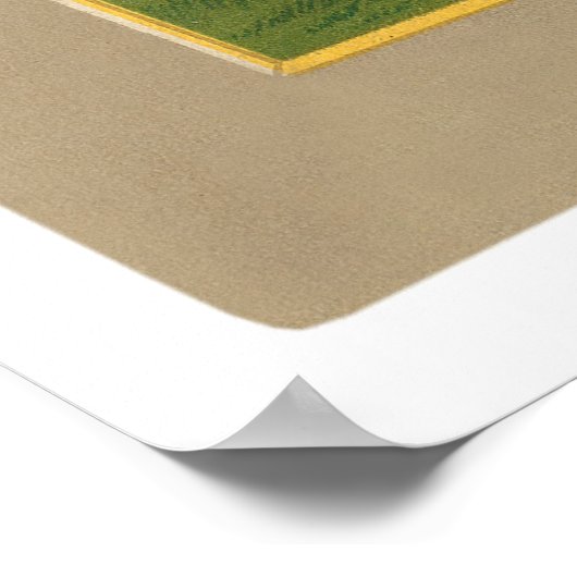 Poster Johnny Evers Cubs Baseball 1911 (Coin)