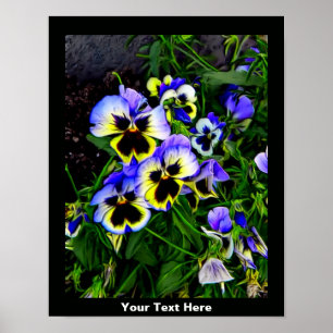 Poster Johnny Jump Up