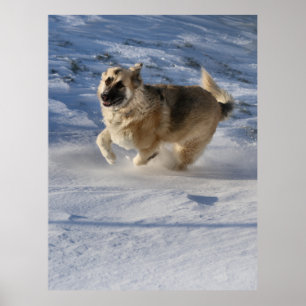 Poster Joie au mouvement