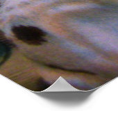 Poster Joie de Noël (Coin)