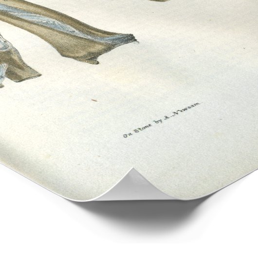 Poster Joints de l'anatomie du coude et du bras (Coin)