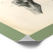 Poster Joints d'os de jambe de cheval Anatomie vétérinair (Coin)