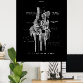 Poster Joints genou Anatomie Art (Bureau à domicile)