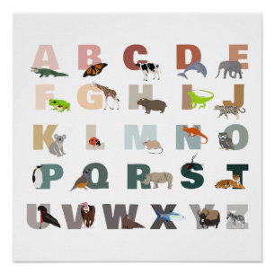 Poster Joli Alphabet ABC Animaux de classe Nursery