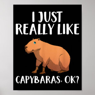 Poster Joli Art De Capybara Pour Hommes Femmes Enfants An