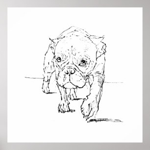 Poster Joli Bouledogue Français, Illustration de Chien