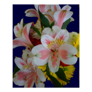 Poster Joli bouquet de lys péruviens blancs et roses