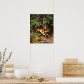 Poster Joli Cerf Rouge Dans La Forêt (Cuisine)