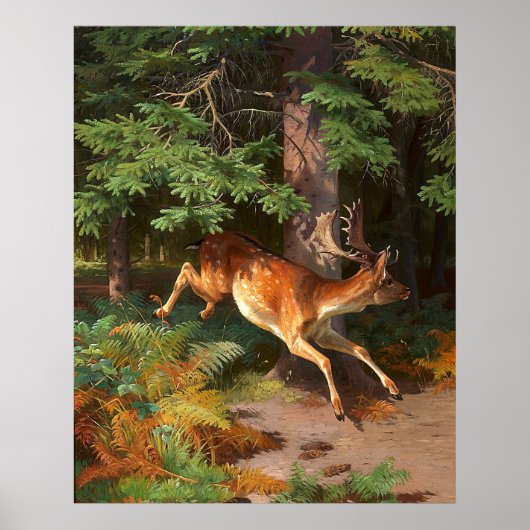 Poster Joli Cerf Rouge Dans La Forêt (Devant)