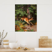 Poster Joli Cerf Rouge Dans La Forêt (Cuisine)