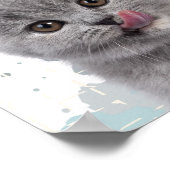 Poster Joli chat (Coin)