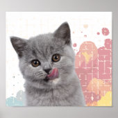 Poster Joli chat (Devant)