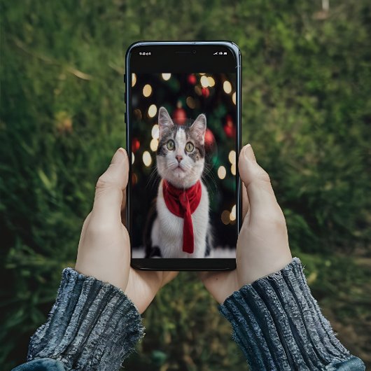 Poster Joli chat de Noël avec un arc