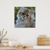 Poster Joli chaton persan (Cuisine)