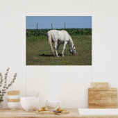 Poster Joli cheval blanc mangeant dans un champ à la ferm (Cuisine)