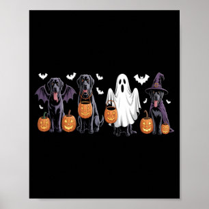 Poster Joli chien Labrador noir Halloween citrouille Labr