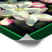Poster Joli Crabapple Fleur de printemps fleurit Abstrait (Coin)