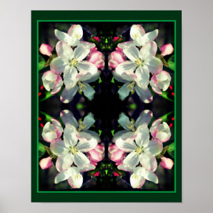 Poster Joli Crabapple Fleur de printemps fleurit Abstrait