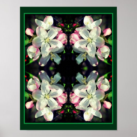 Poster Joli Crabapple Fleur de printemps fleurit Abstrait (Devant)