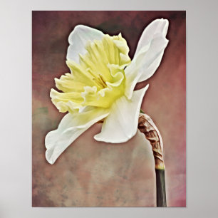 Poster Joli Daffodique Fleur Photographie Imprimer