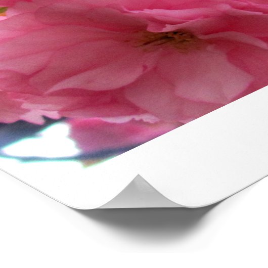 Poster Joli en rose (Coin)