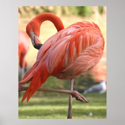 Poster Joli en rose (Devant)