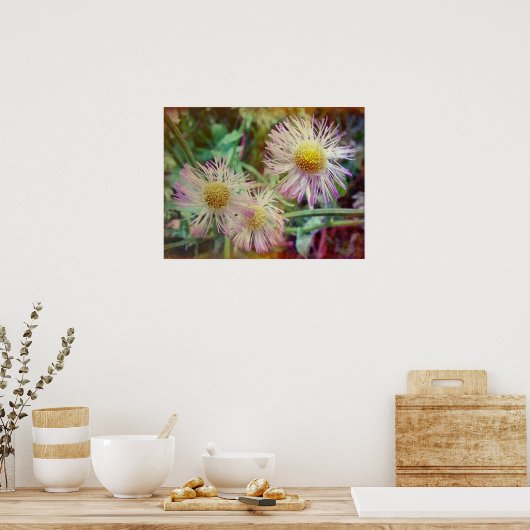 Poster Joli et rose (Cuisine)