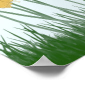 Poster Joli Fleur sauvage (Coin)