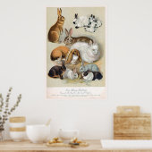 Poster Joli lapin lapin Retro Vintage (Cuisine)