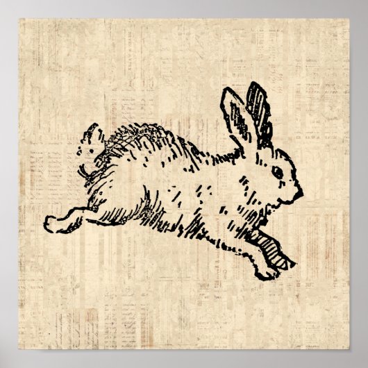 Poster Joli lapin Lapin Vintage Illustration Script Art (Devant)