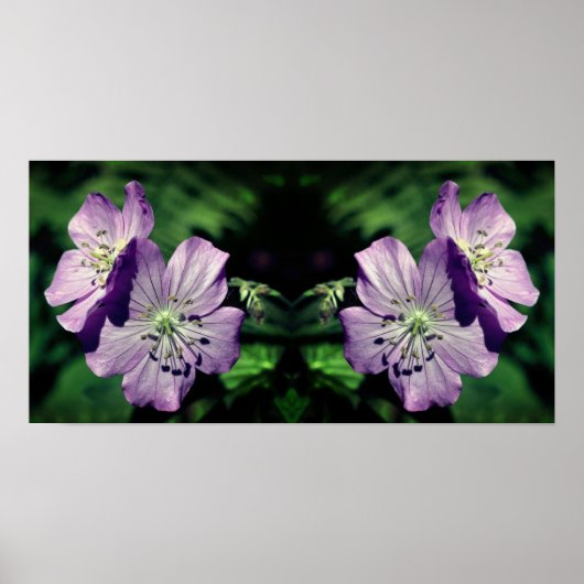 Poster Joli Miroir de paire de fleurs de géranium violet  (Devant)