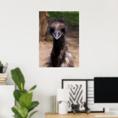 Poster Joli Oiseau (Bureau à domicile)