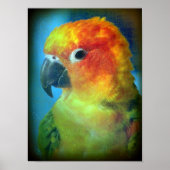 Poster Joli oiseau (Devant)