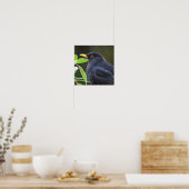 Poster Joli oiseau noir (Cuisine)