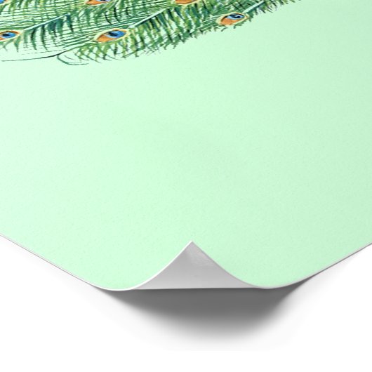 Poster Joli Peacock (Coin)