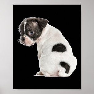 Poster Joli Petit Chien Sleepy Chien Face Pour Amoureux d